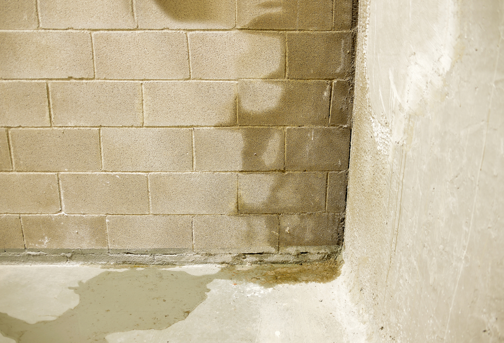 basement walls and floor with water